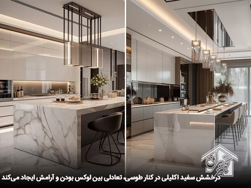 سفید اکلیلی و طوسی